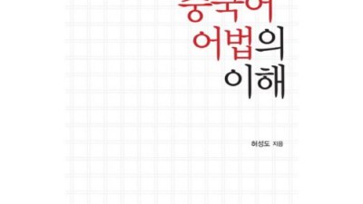 드디어 찾았다! ✨ 현대중국어어법의이해 리뷰 & 꿀팁 대방출 🍯